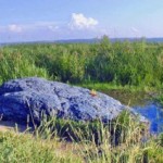 Есть ли у родноверия свои капища, святыни?